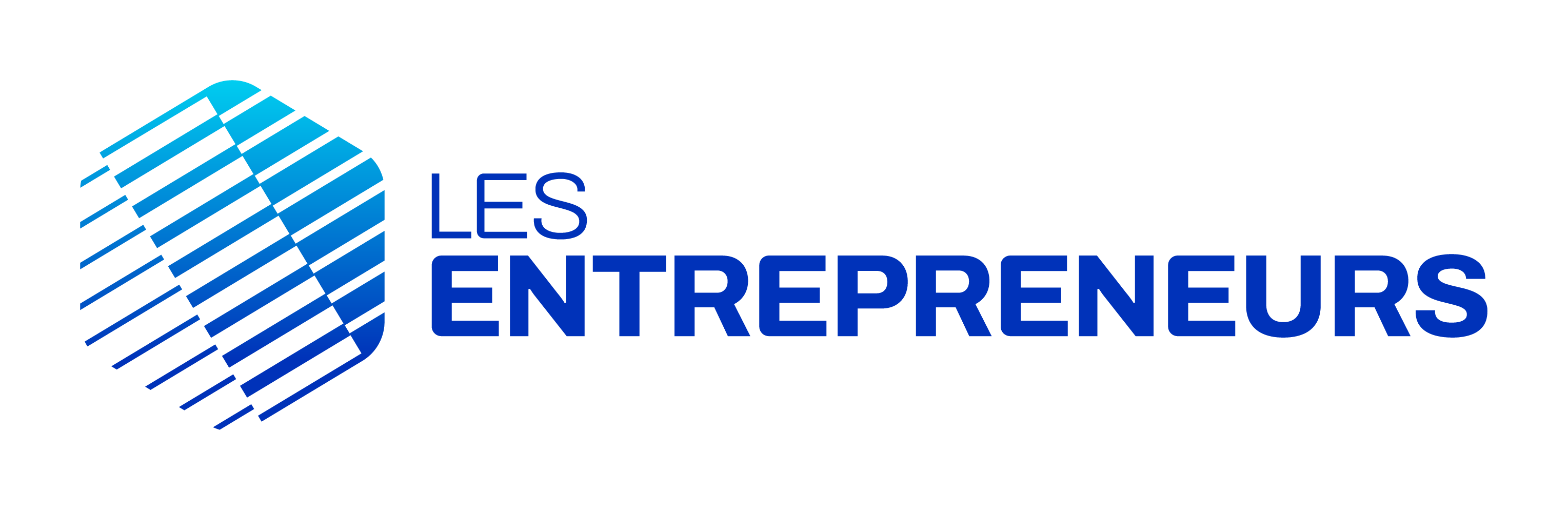 Les Entrepreneurs